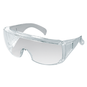 Clear Visitor Spectacles