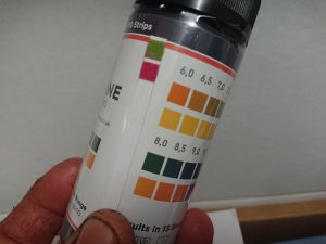 50 x PH Indicator Sticks